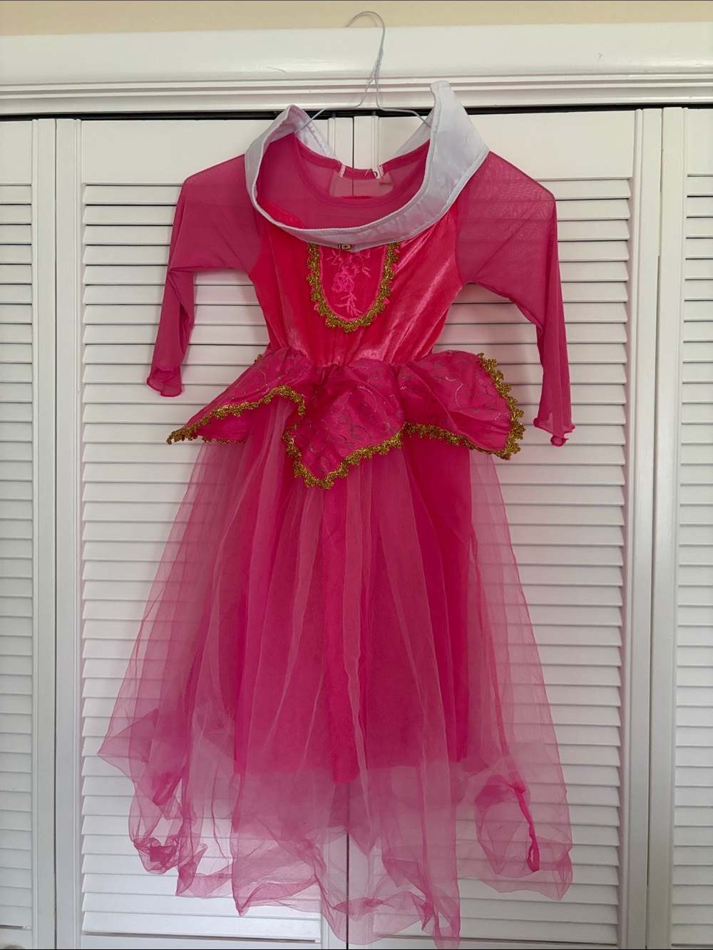 Sleeping Beauty Costume